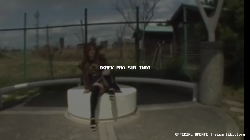 okrek pro sub indo