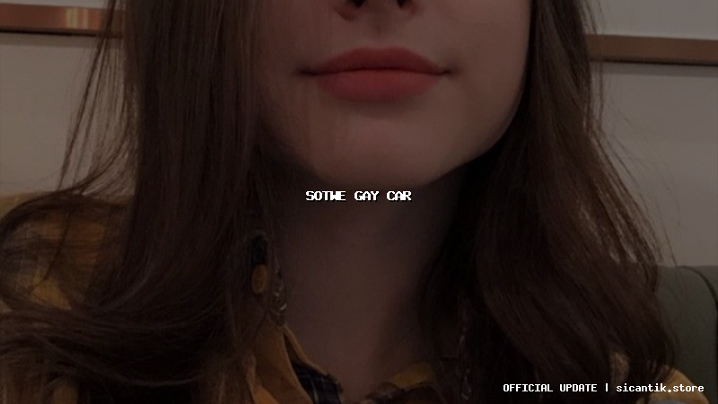 sotwe gay car